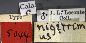 Media type: image;   Entomology 5044 Aspect: labels